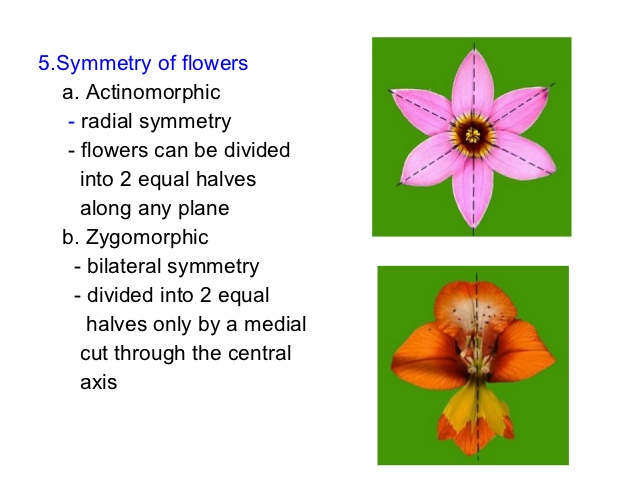 Biology 2